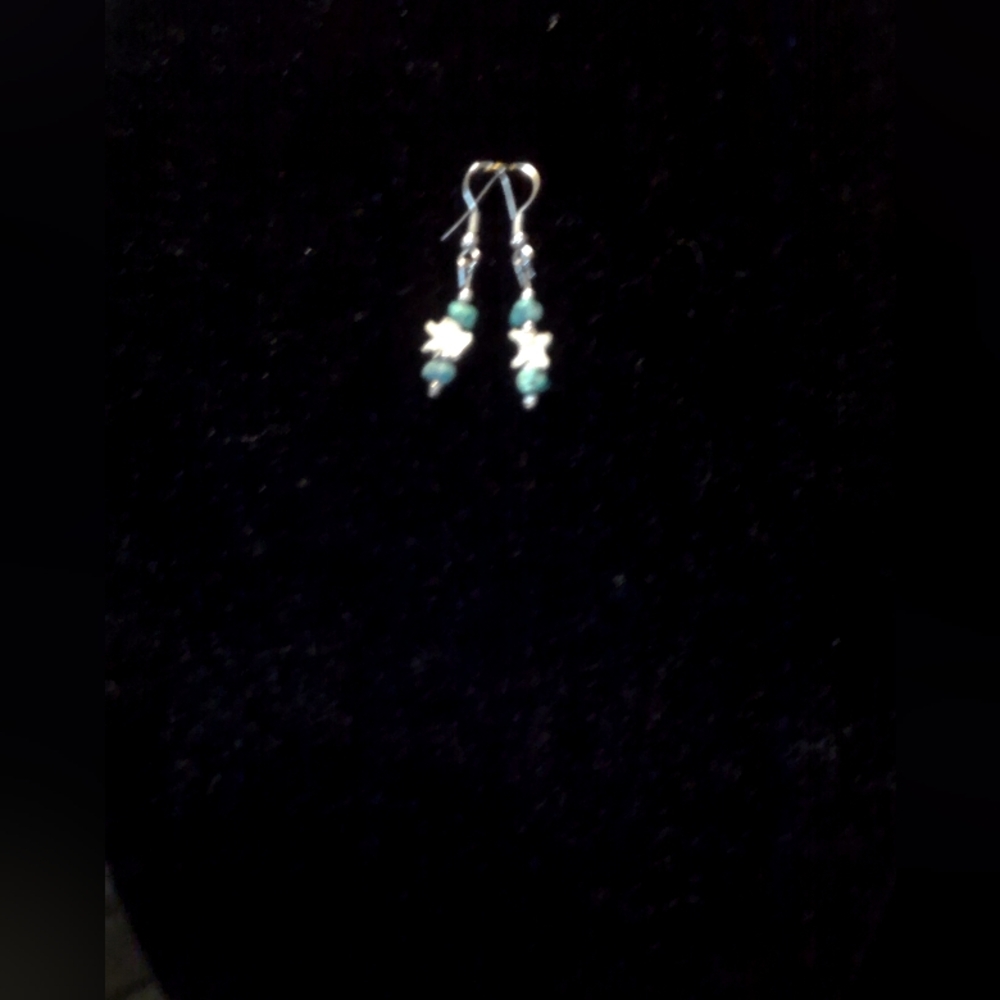 Elegant Natural Turquoise Beads With Rattlesnake Bone Earrings